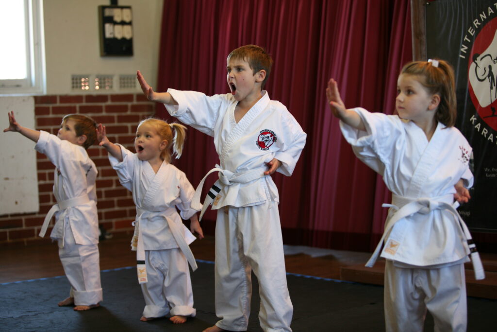 About Karate Kids