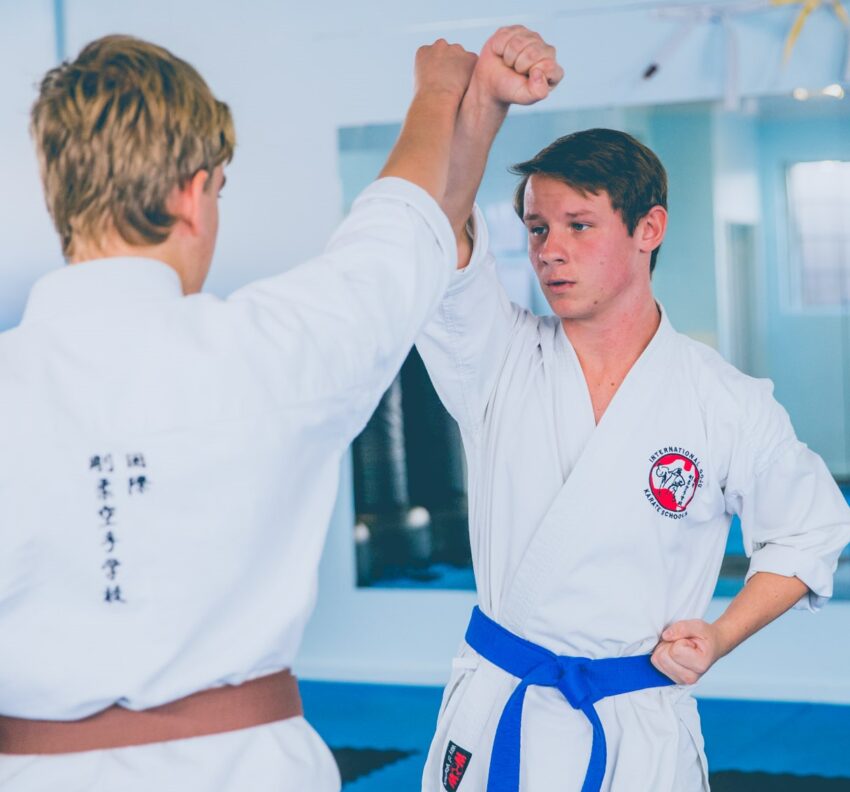karate testimonial